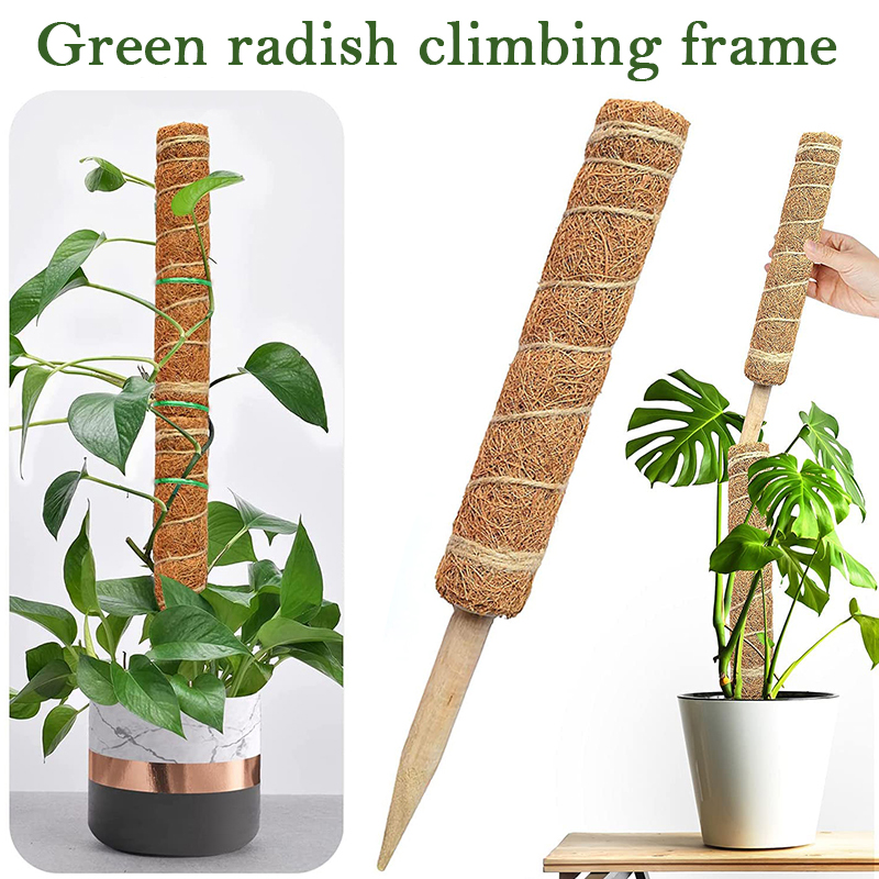 Sphagnum Moss Dry - 30/40/50cm planta de escalada bobina totem