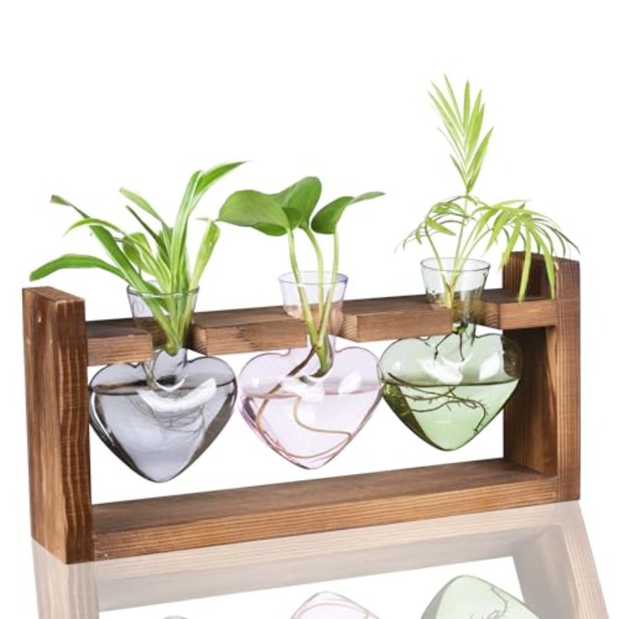 Propagation Station Vase - Kit Terrário de Plantas 3 Corações
