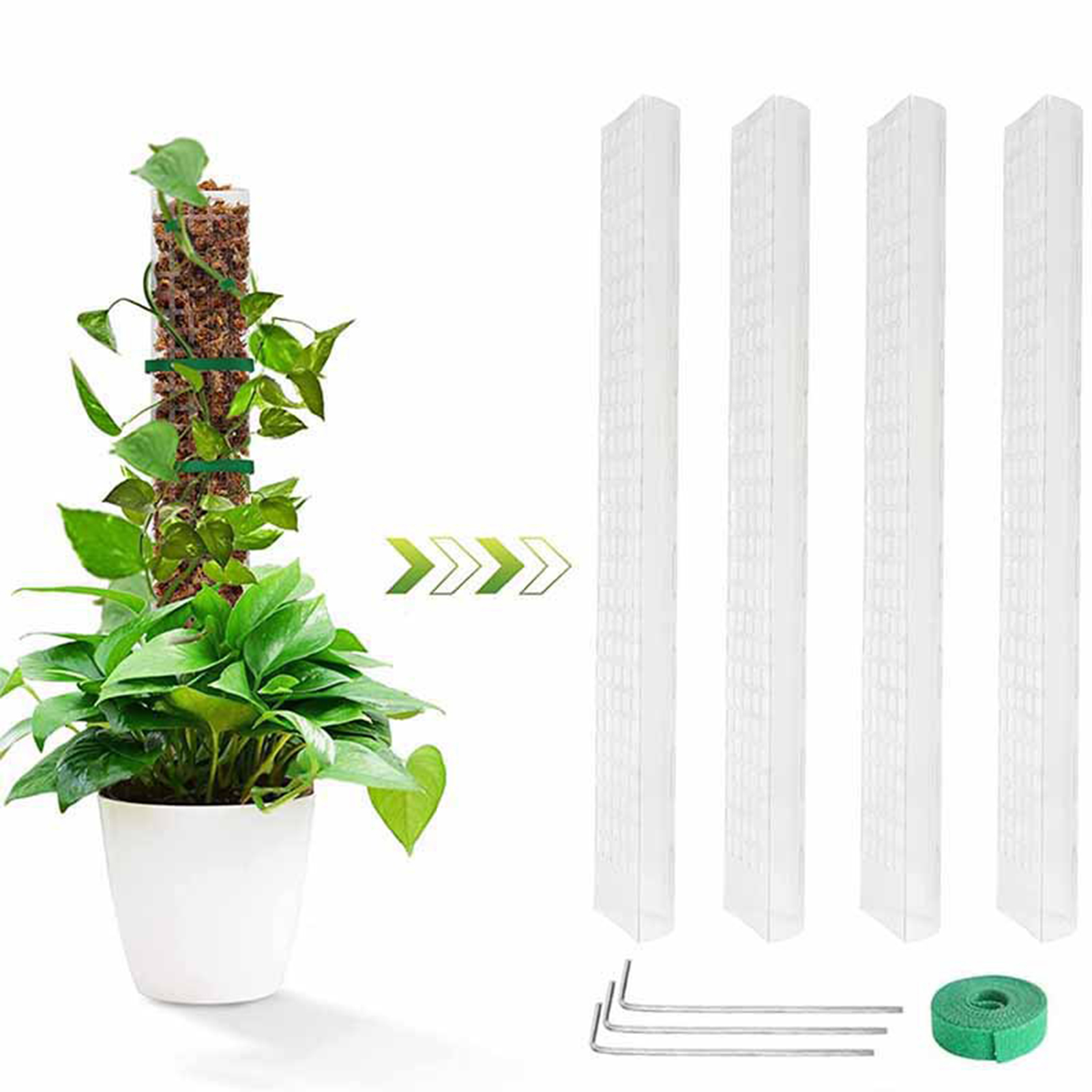 Escalada Plantas Musgo Pole, F - Sphagnum Moss Dry avaliação e preço