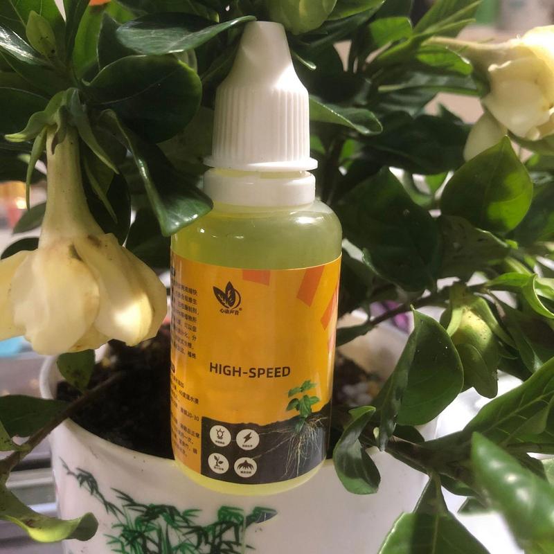 Estimulador de raiz de planta  - Root Stimulator Liquid avaliação e preço