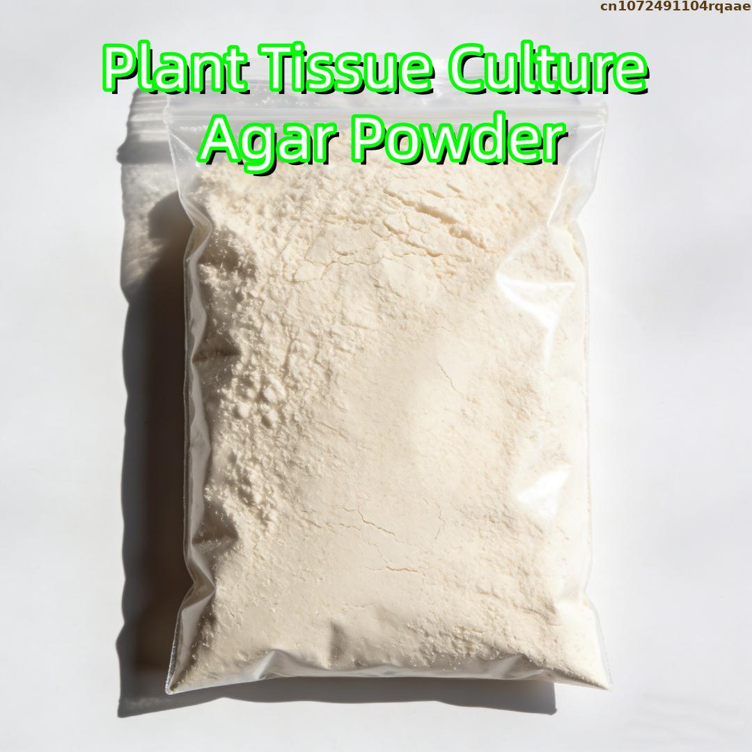 Pó de Agar Premium para Cultur - Agar Tissue Culture avaliação e preço