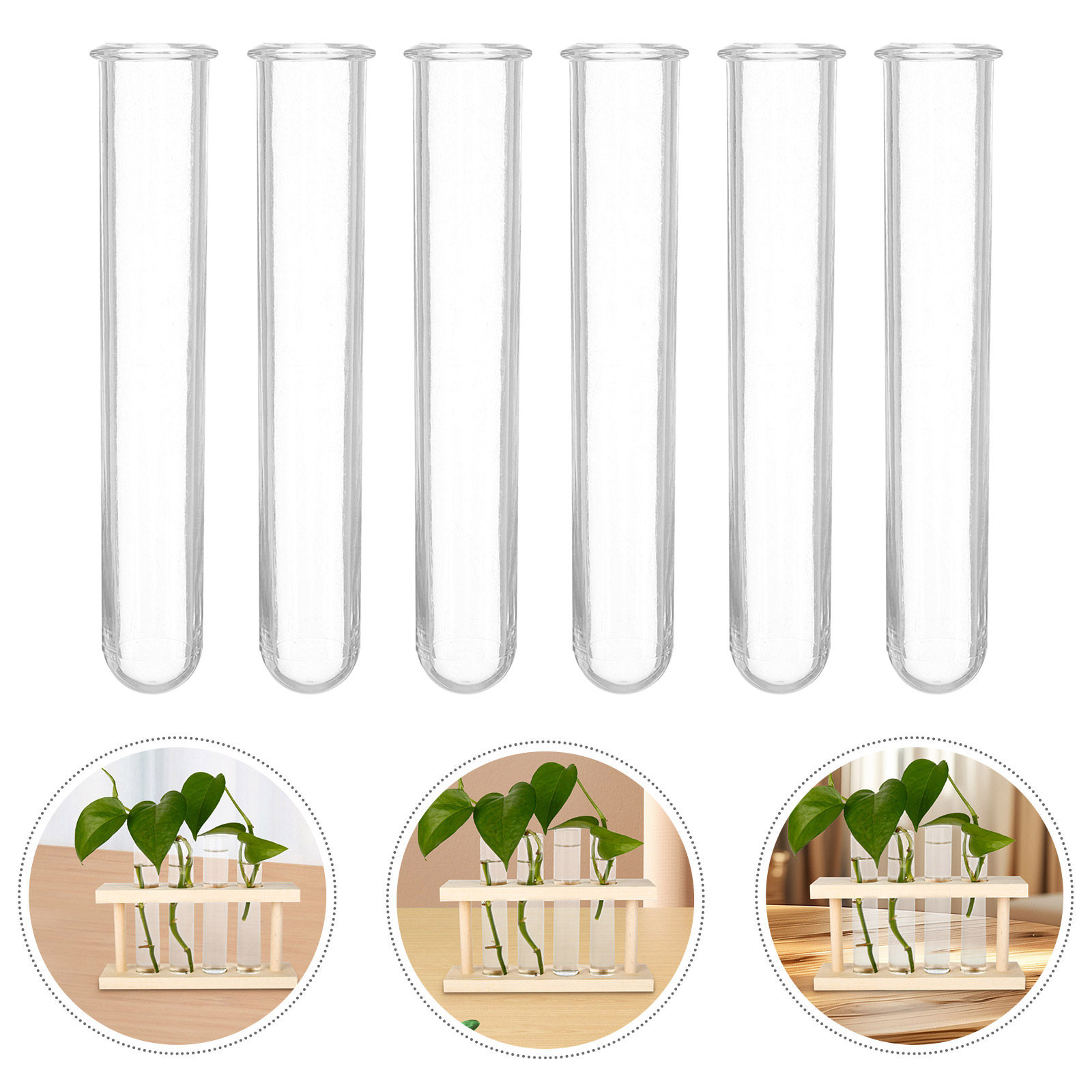 6 Peças de Tubos de Ensaio Tra - Propagation Station Vase avaliação e preço