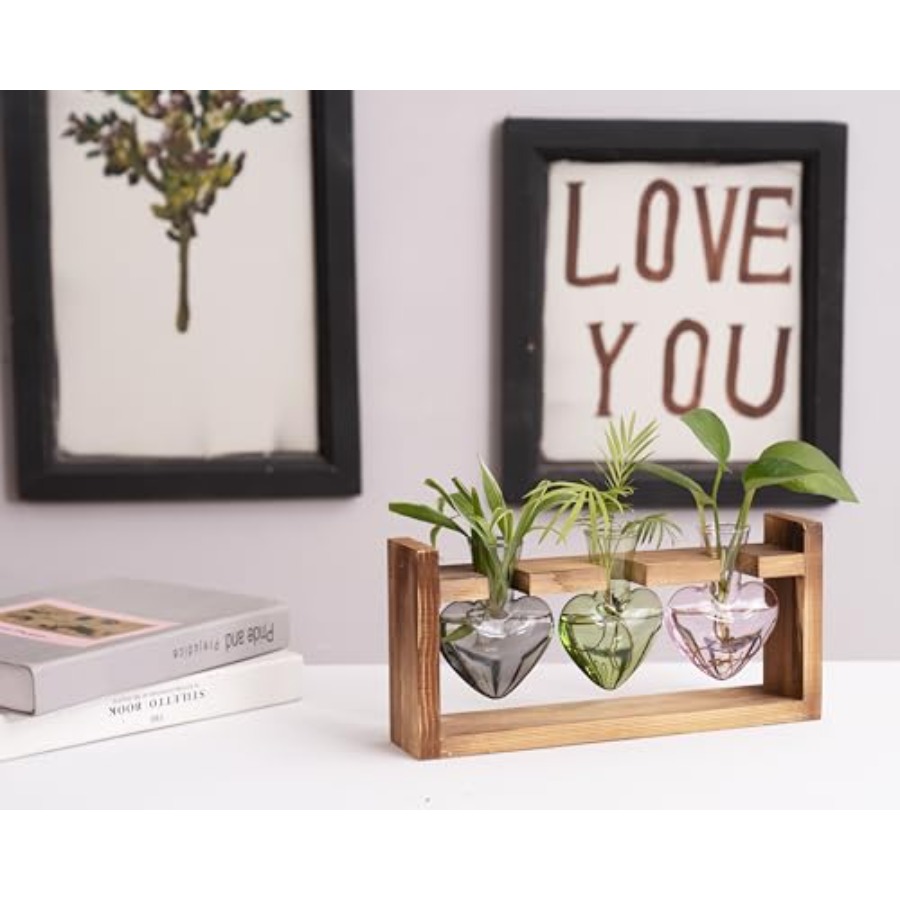 Kit Terrário de Plantas 3 Cora - Propagation Station Vase avaliação e preço