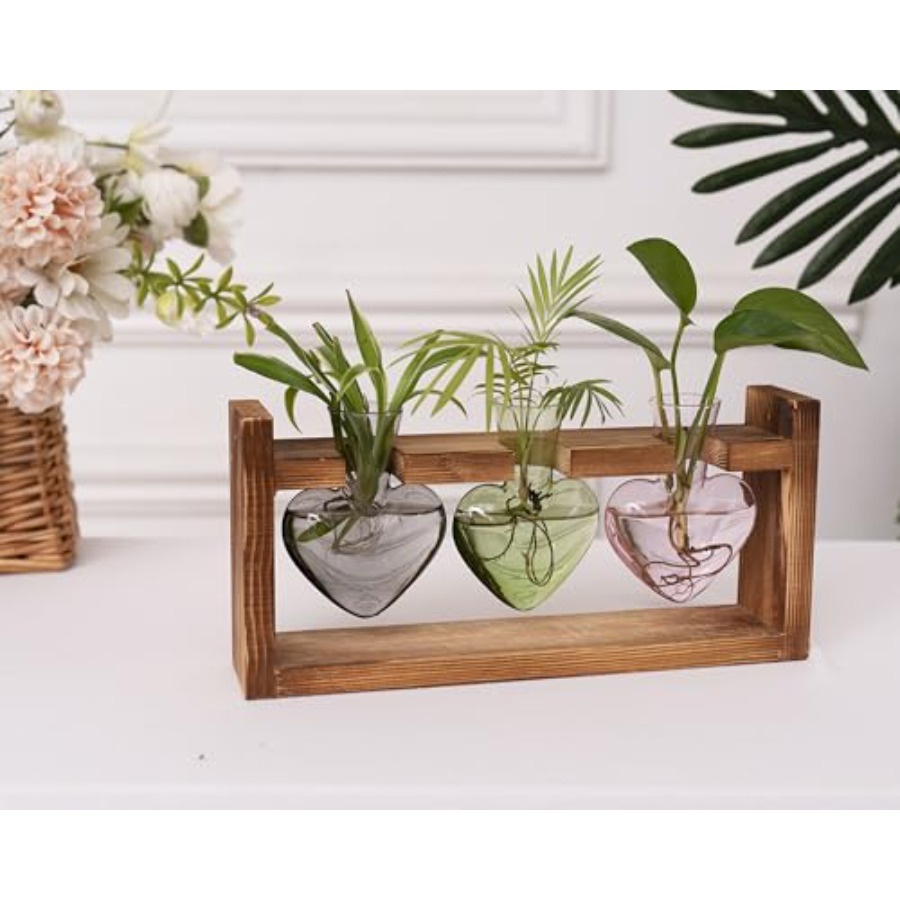 Kit Terrário de Plantas 3 Cora - Propagation Station Vase avaliação e preço