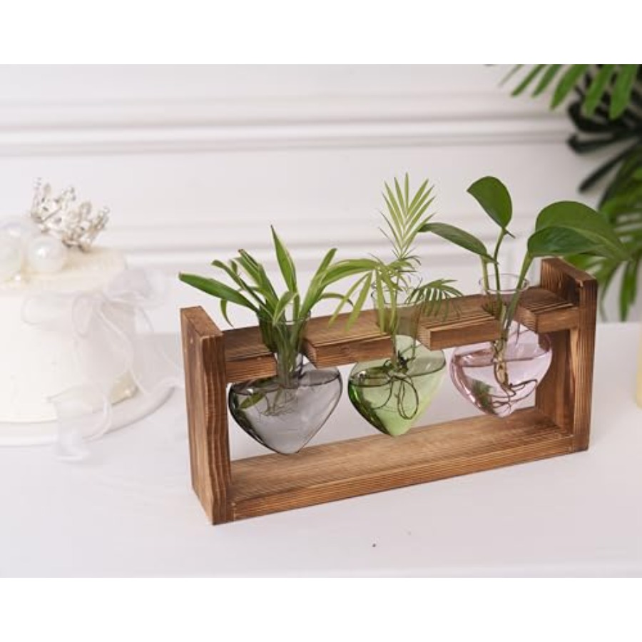 Kit Terrário de Plantas 3 Cora - Propagation Station Vase avaliação e preço