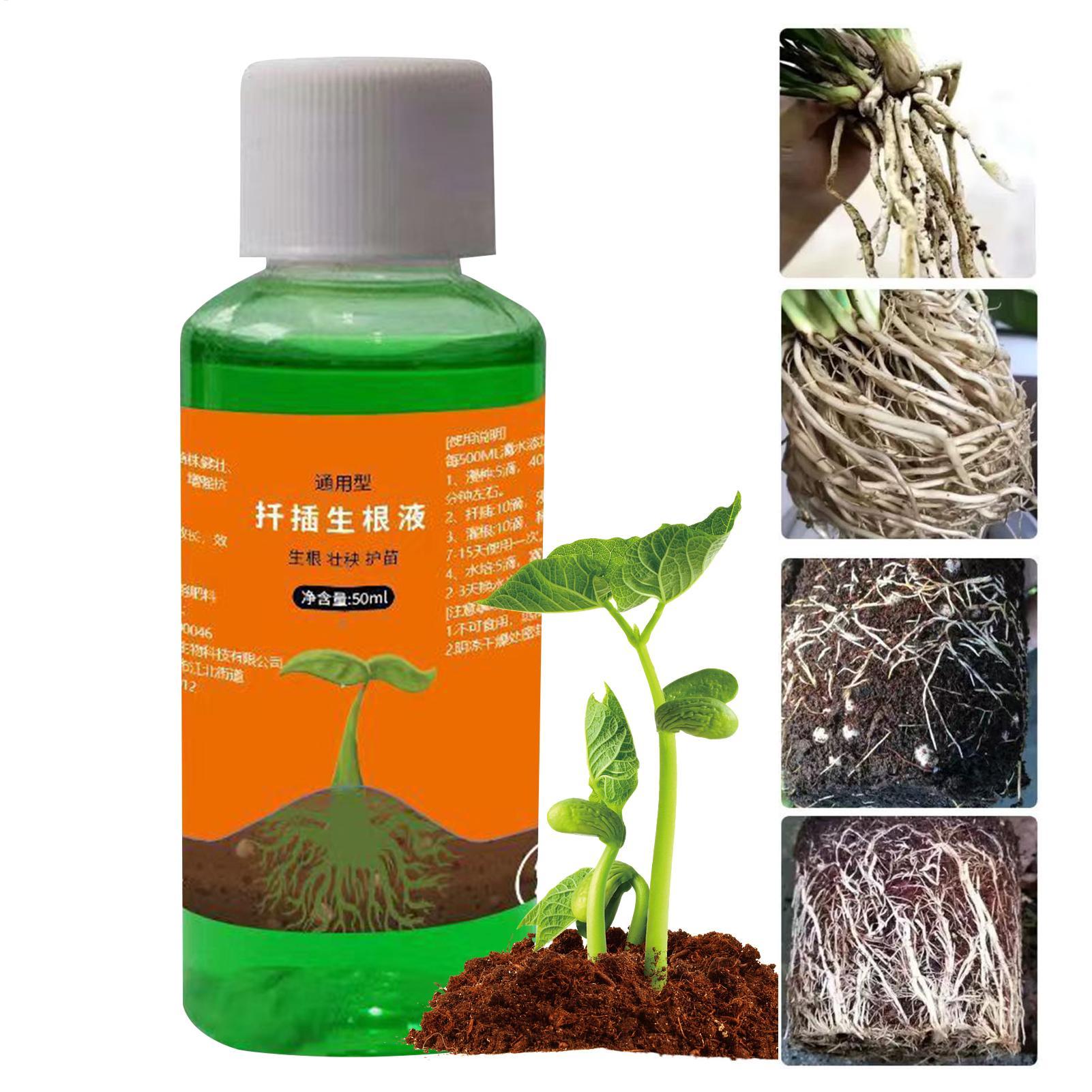 Estimulador de Raízes de Alta  - Root Stimulator Liquid avaliação e preço