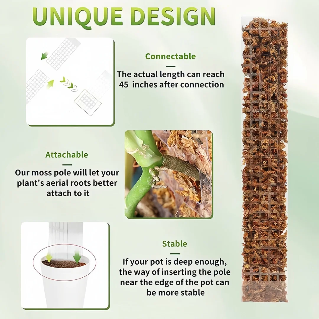 Pólos de musgo plantas de plás - Sphagnum Moss Dry avaliação e preço