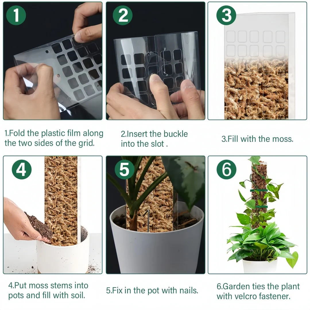 Pólos de musgo plantas de plás - Sphagnum Moss Dry avaliação e preço